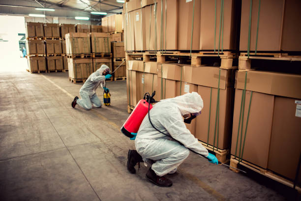Best Rat Extermination Near Me  in Brooklawn, NJ