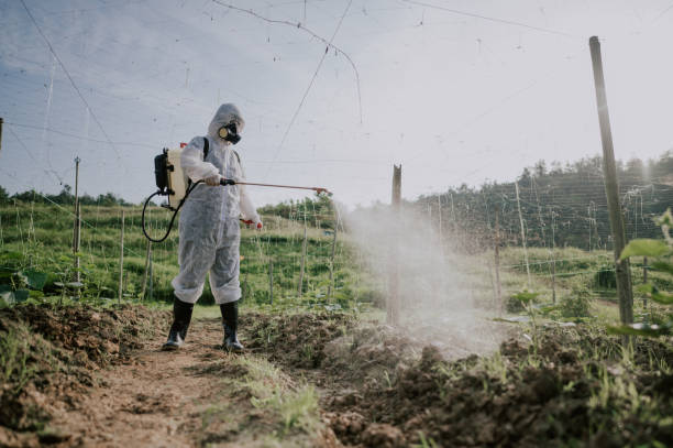 Best Commercial Pest Control Services  in Brooklawn, NJ