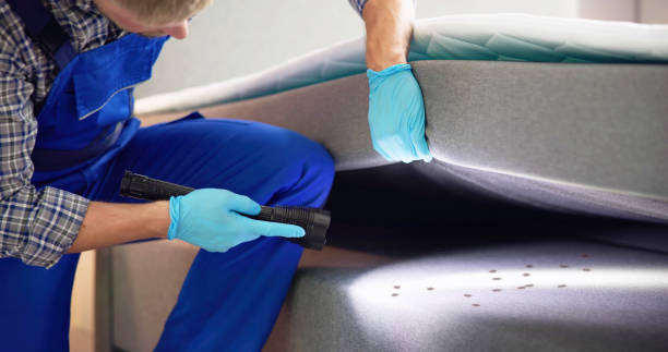 Best Residential Pest Control  in Brooklawn, NJ